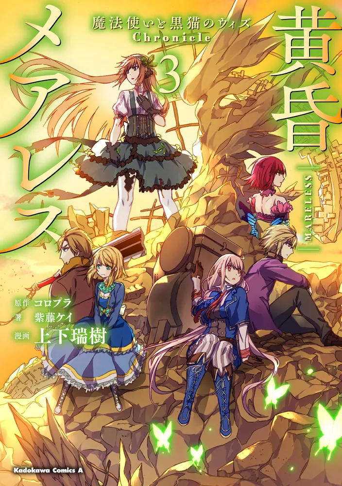 Twilight Mares The Wizard and the Black Cat Wiz Chronicle
