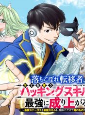 Ochikobore-Tenisha-Subete-wo-ubau-Hacking-Skill-de-Saikyou-ni-nariagaru