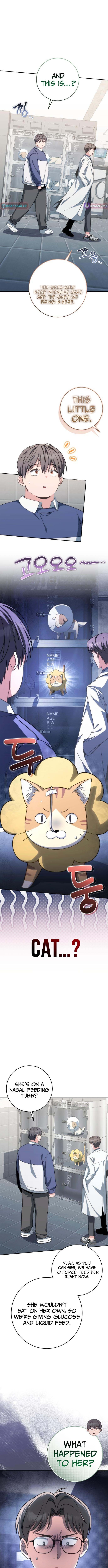 Healing With Deulbi – Chapter 15 – Page 6