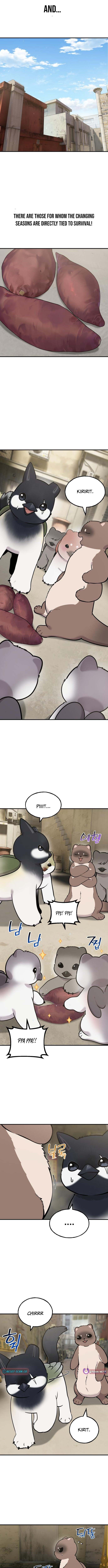 Hello, Fluffy Griffin! – Chapter 50 – Page 9