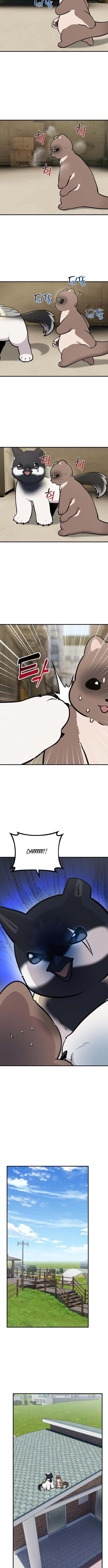 Hello, Fluffy Griffin! – Chapter 50 – Page 10