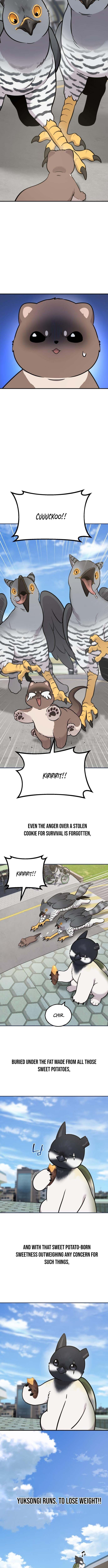 Hello, Fluffy Griffin! – Chapter 50 – Page 12