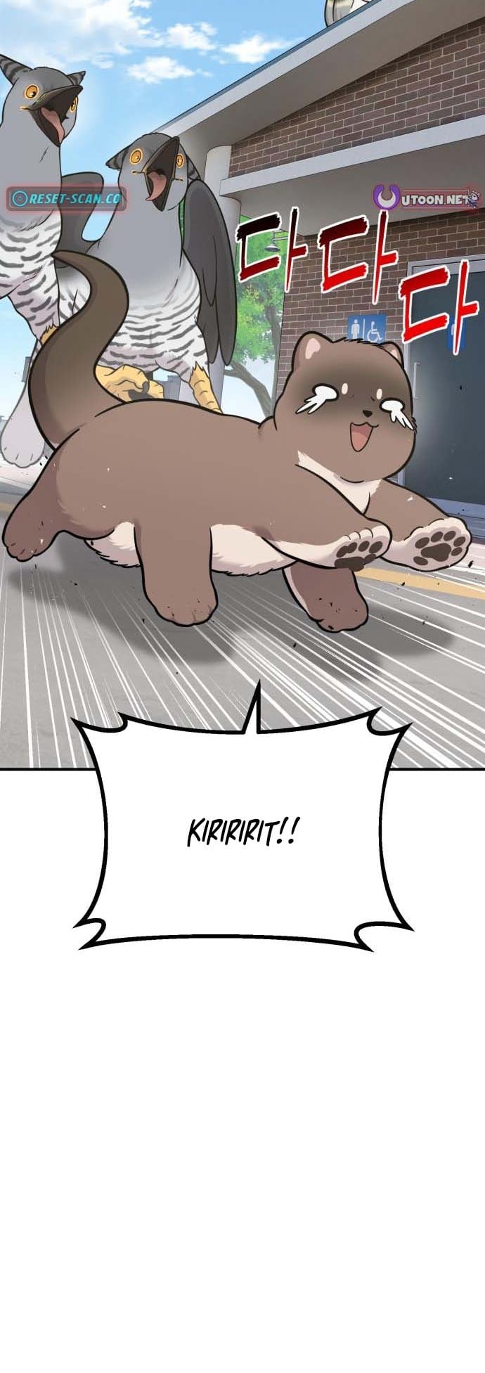 Hello, Fluffy Griffin! – Chapter 50 – Page 13