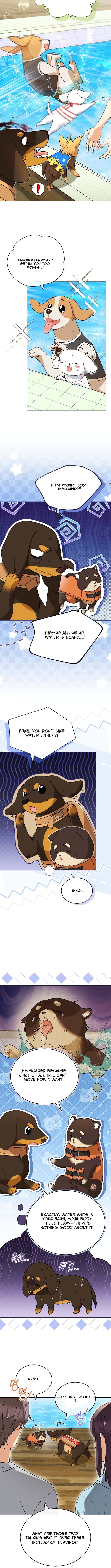 Hello, Veterinarian! – Chapter 129 – Page 5