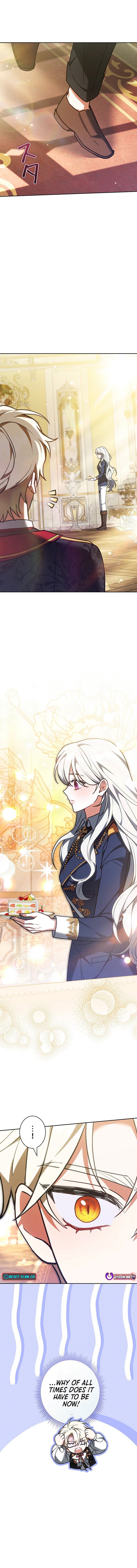 I Was Supposed to Be a Stalker Noble Lady, but Somehow I'm Being Adored Instead – Chapter 33 – Page 4