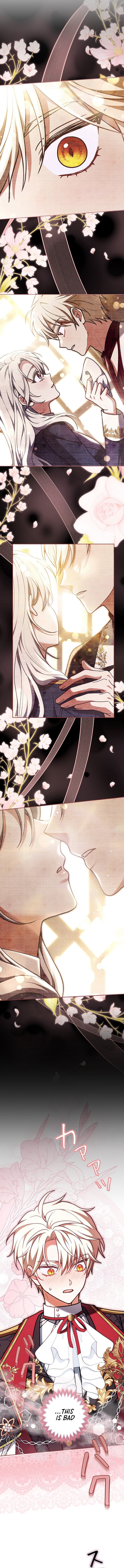 I Was Supposed to Be a Stalker Noble Lady, but Somehow I'm Being Adored Instead – Chapter 33 – Page 6