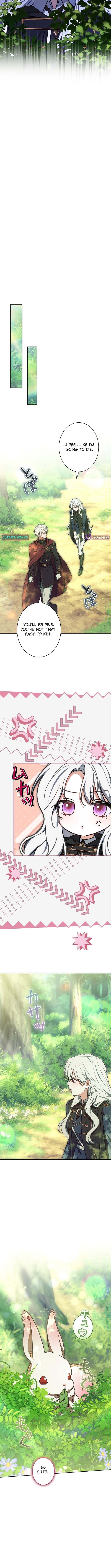 I Was Supposed to Be a Stalker Noble Lady, but Somehow I'm Being Adored Instead – Chapter 41 – Page 8