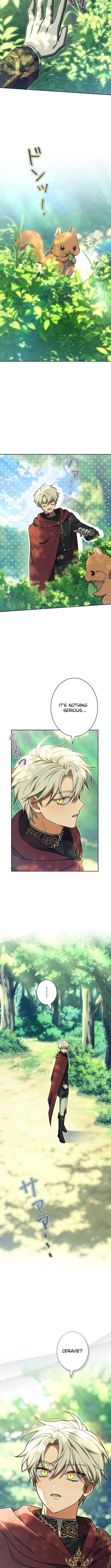 I Was Supposed to Be a Stalker Noble Lady, but Somehow I'm Being Adored Instead – Chapter 41 – Page 14