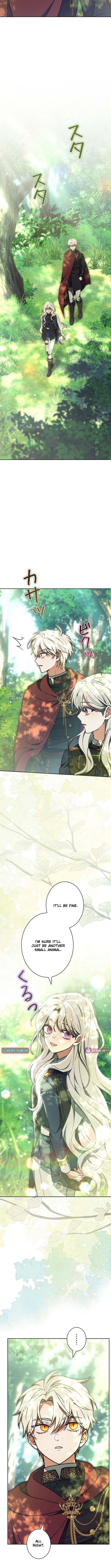 I Was Supposed to Be a Stalker Noble Lady, but Somehow I'm Being Adored Instead – Chapter 42 – Page 8