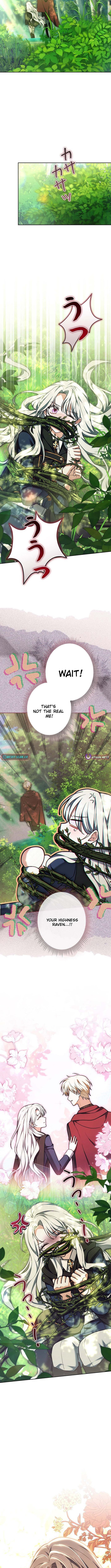 I Was Supposed to Be a Stalker Noble Lady, but Somehow I'm Being Adored Instead – Chapter 42 – Page 10