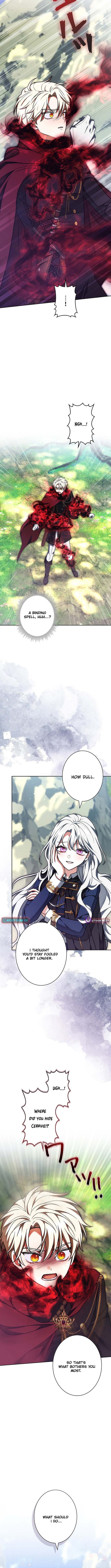 I Was Supposed to Be a Stalker Noble Lady, but Somehow I'm Being Adored Instead – Chapter 42 – Page 15