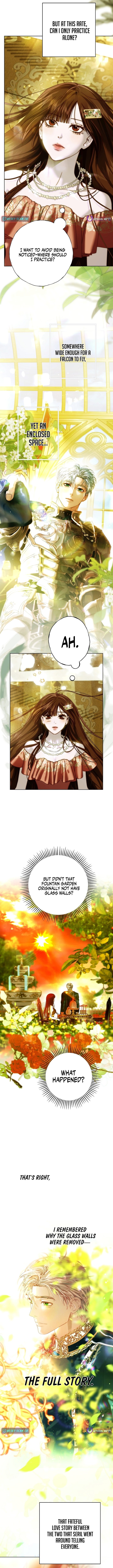 Shards of Broken Glass Slippers – Chapter 23 – Page 6