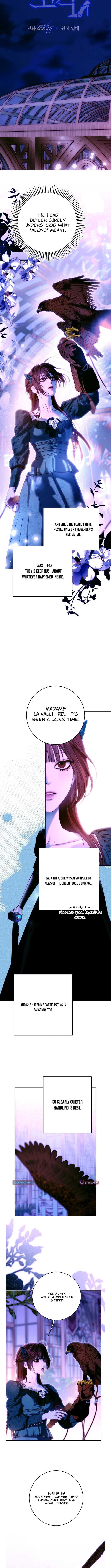 Shards of Broken Glass Slippers – Chapter 24 – Page 8