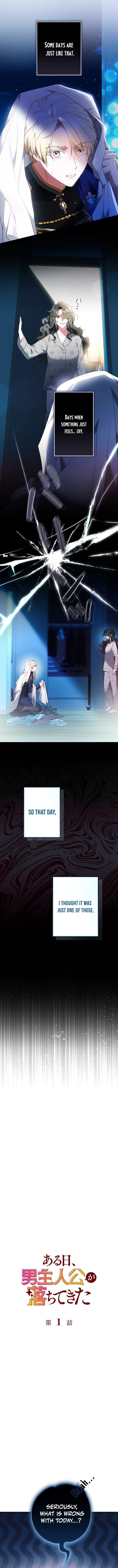 One Day, the Male Lead Fell Into My Life – Chapter 1 – Page 2