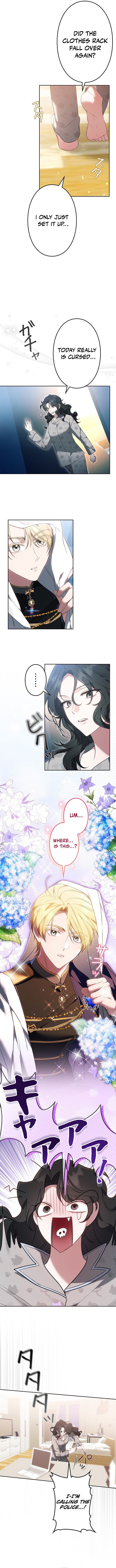 One Day, the Male Lead Fell Into My Life – Chapter 1 – Page 4