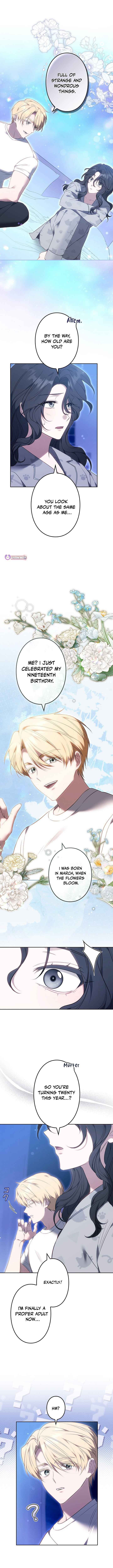 One Day, the Male Lead Fell Into My Life – Chapter 2 – Page 3