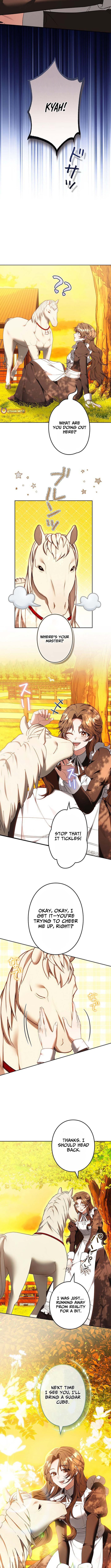 One Day, the Male Lead Fell Into My Life – Chapter 9 – Page 11