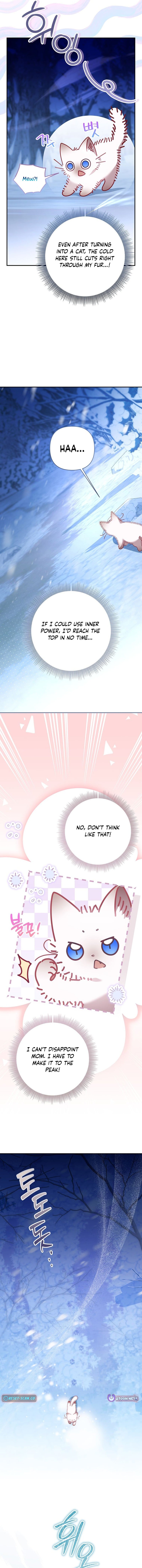 A Baby Cat Who Commands the Dog Clan – Chapter 1 – Page 5