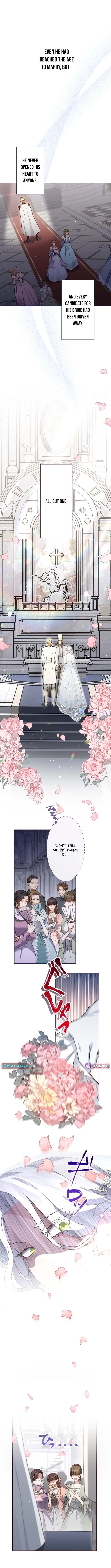The Socially Awkward Villainess and the Tyrant Prince – Chapter 1 – Page 2