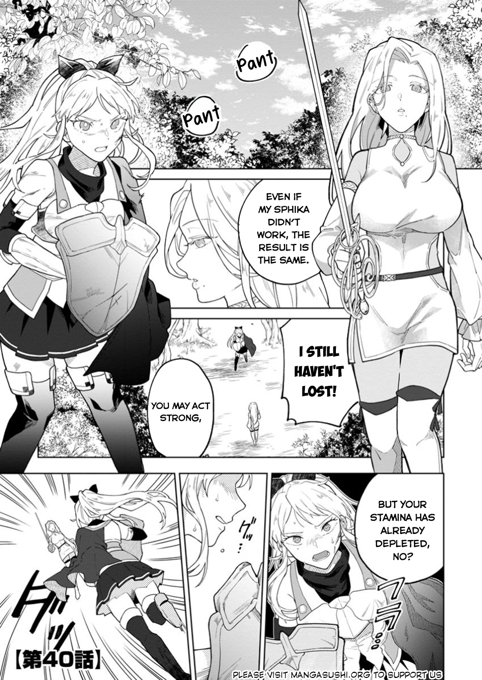 The White Mage Who Was Banished From the Hero's Party Is Picked Up By an S-Rank Adventurer: This White Mage Is Too Out of the Ordinary! – Chapter 40 – Page 2
