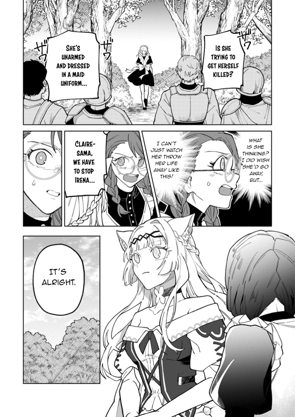 The White Mage Who Was Banished From the Hero's Party Is Picked Up By an S-Rank Adventurer: This White Mage Is Too Out of the Ordinary! – Chapter 43.1 – Page 14