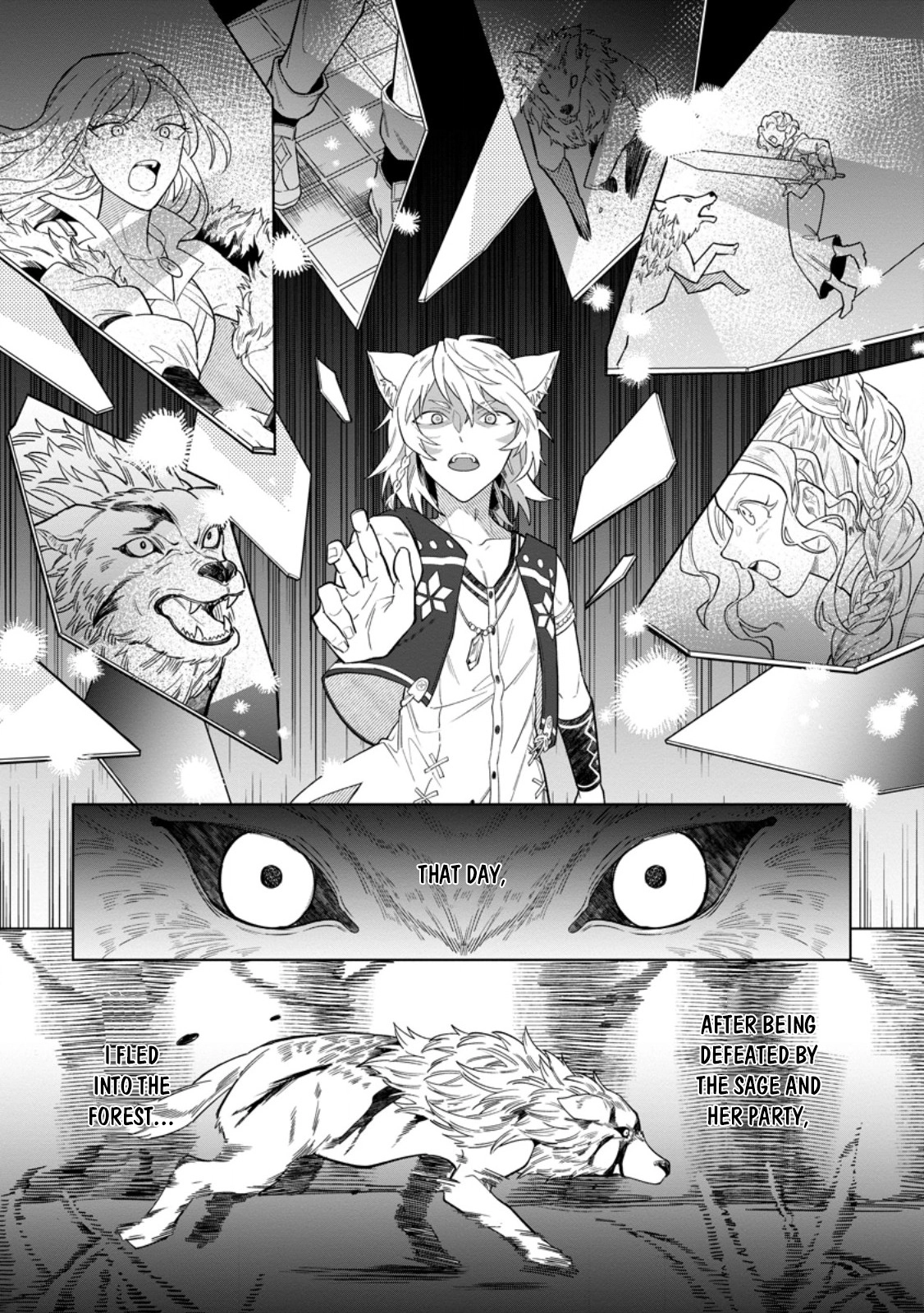 The White Mage Who Was Banished From the Hero's Party Is Picked Up By an S-Rank Adventurer: This White Mage Is Too Out of the Ordinary! – Chapter 50 – Page 27