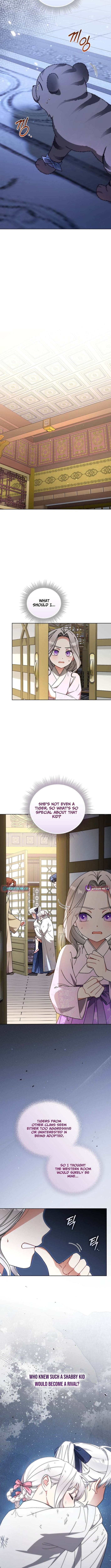 The White Tiger Clan's Baby Cotton Ball – Chapter 19 – Page 11