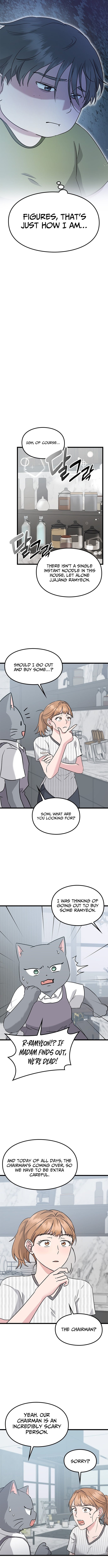 What If Everyone in the World Were a Cat? – Chapter 6 – Page 11