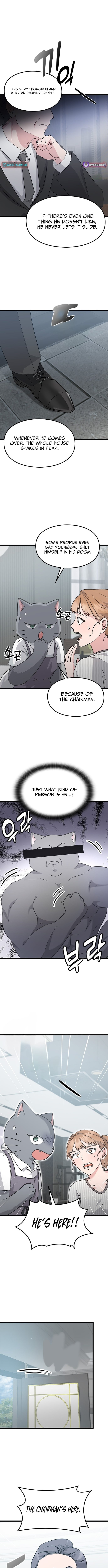 What If Everyone in the World Were a Cat? – Chapter 6 – Page 12