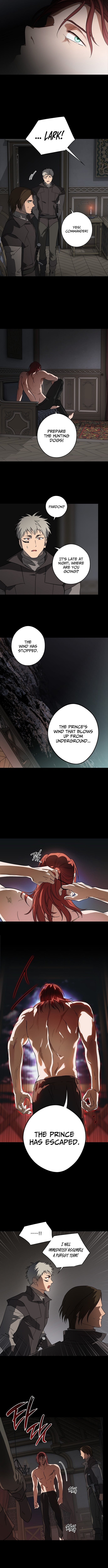 Blinded by the Setting Sun – Chapter 216 – Page 8