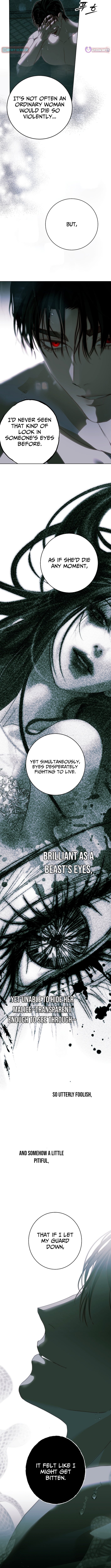 Shards of Broken Glass Slippers – Chapter 30 – Page 7