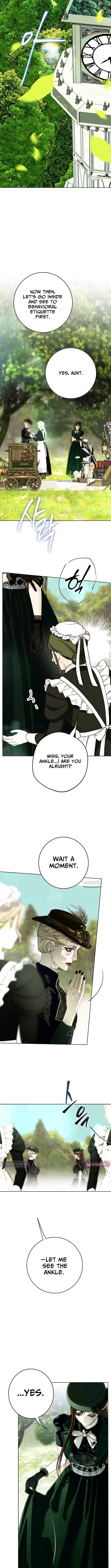 Shards of Broken Glass Slippers – Chapter 31 – Page 4