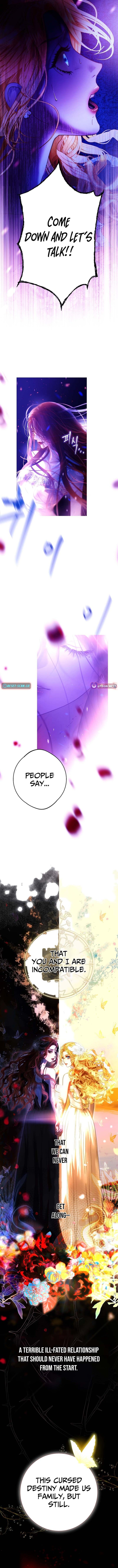 Shards of Broken Glass Slippers – Chapter 01 – Page 4