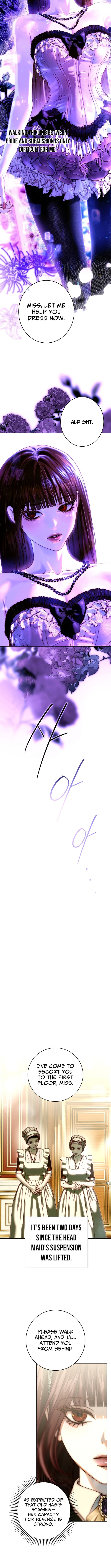 Shards of Broken Glass Slippers – Chapter 27 – Page 5