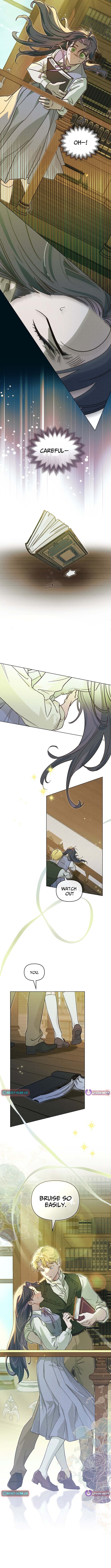 The Butterfly That Swallowed the Fog – Chapter 11 – Page 8
