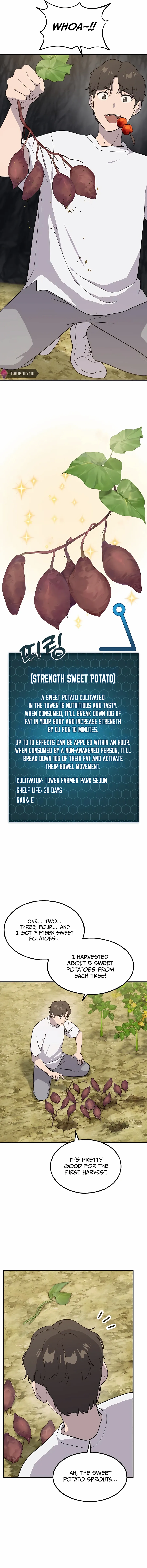 Solo Farming in the Tower – Chapter 8 – Page 12
