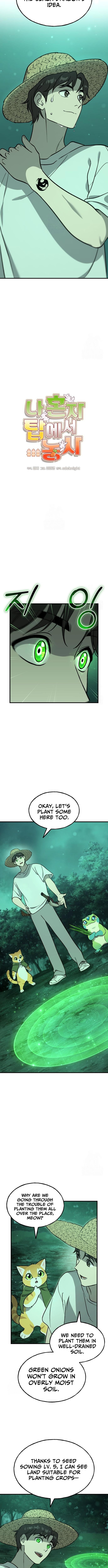 Solo Farming in the Tower – Chapter 104 – Page 3
