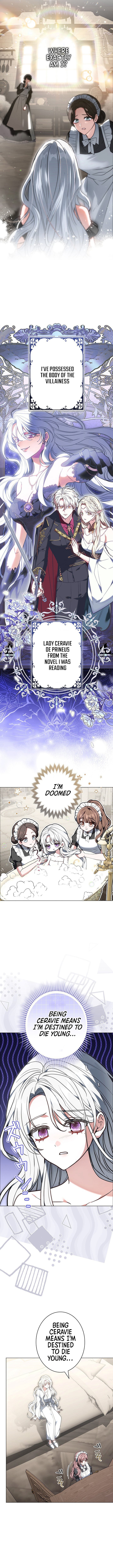 I Was Supposed to Be a Stalker Noble Lady, but Somehow I'm Being Adored Instead – Chapter 01 – Page 3
