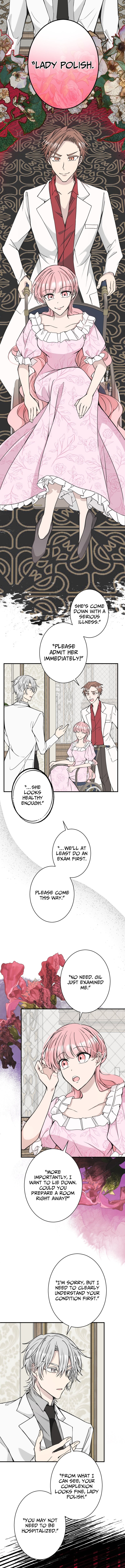 The Betrayed Wife’s Regression Revenge – Chapter 11 – Page 3