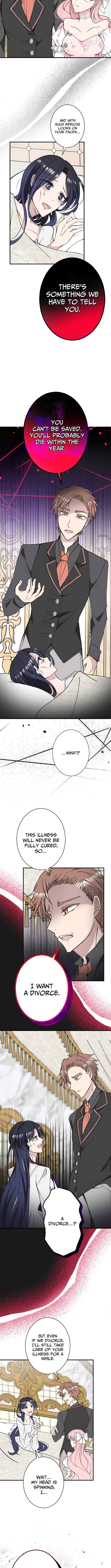 The Betrayed Wife’s Regression Revenge – Chapter 01 – Page 15