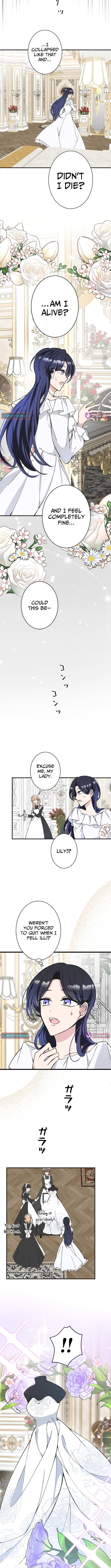 The Betrayed Wife’s Regression Revenge – Chapter 02 – Page 8